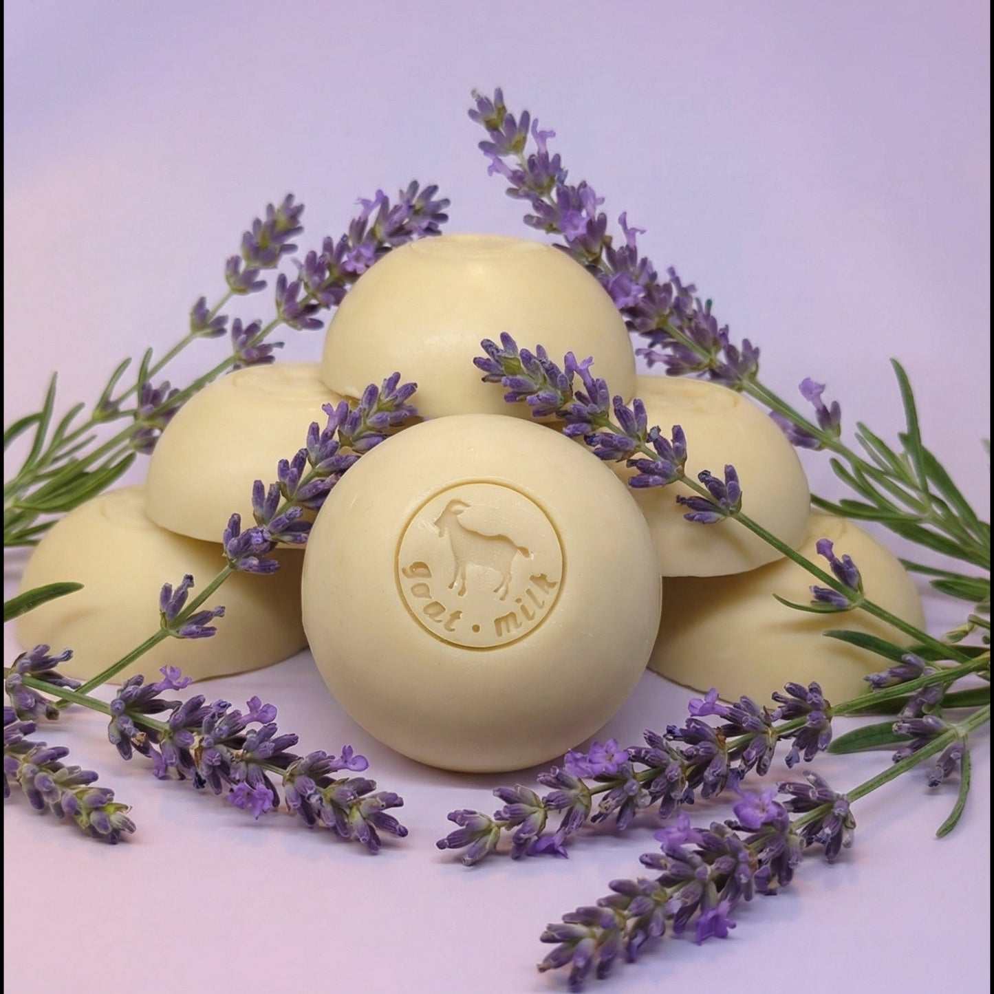 Lavender Goat Milk Soap