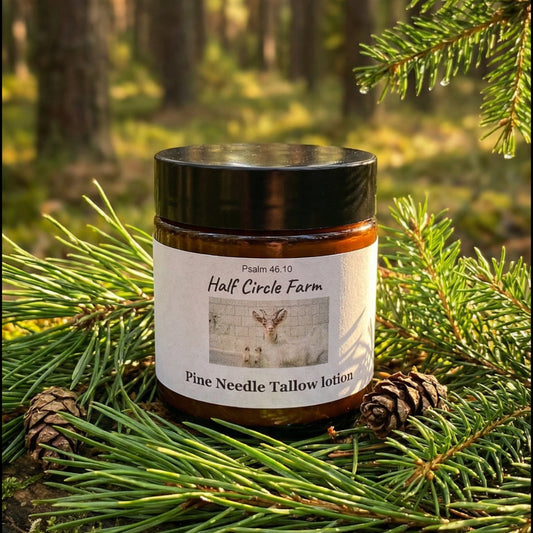 Pine Needle–Scented Beef Tallow Lotion